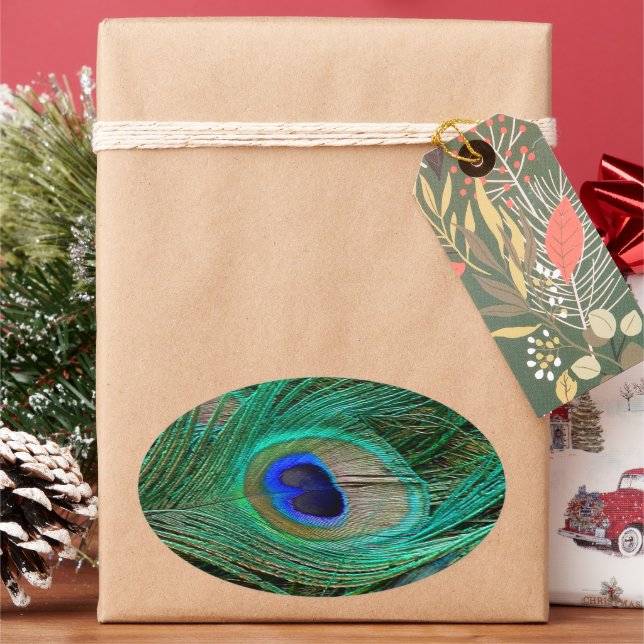 Sticker Ovale Pic bleu indien (vacances)