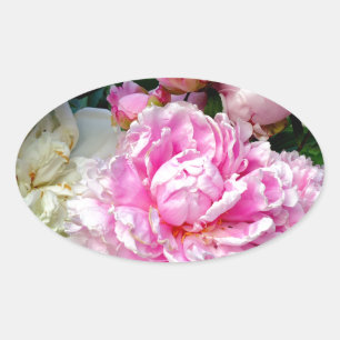 Sticker Ovale Pies roses et blanches