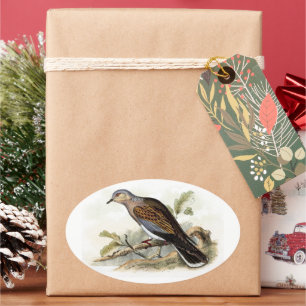 Sticker Ovale Pigeon tourterelle Streptopelia Peinture Nature Oi