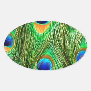 Sticker Ovale Plumes de paon colorées Imprimer