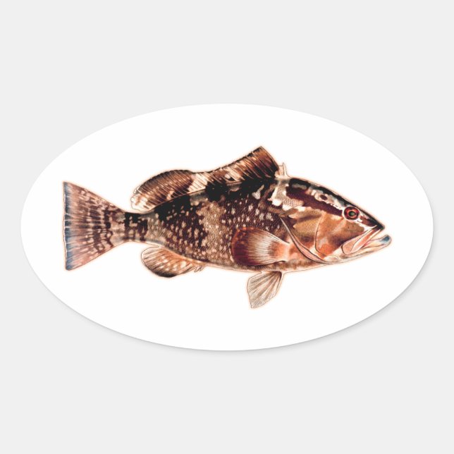 Sticker Ovale Poisson de groupe (Devant)