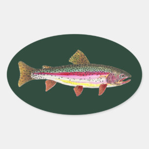 Sticker Ovale Poisson de truite arc-en-ciel