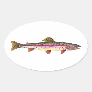 Sticker Ovale Poisson de truite arc-en-ciel