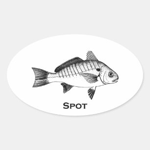 Sticker Ovale Poisson ponctuel (titre)
