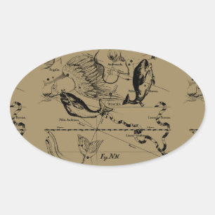Sticker Ovale Poissons Constellation Hevelius 1690 Décor