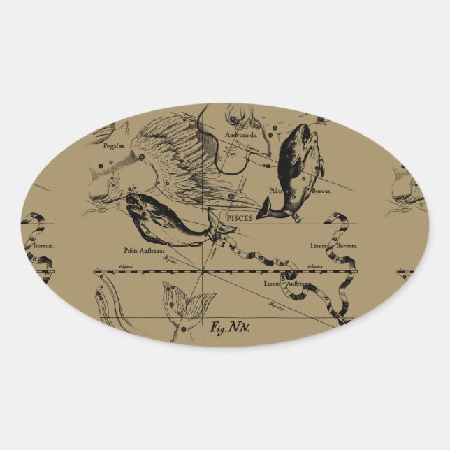Sticker Ovale Poissons Constellation Hevelius 1690 Décor (Devant)
