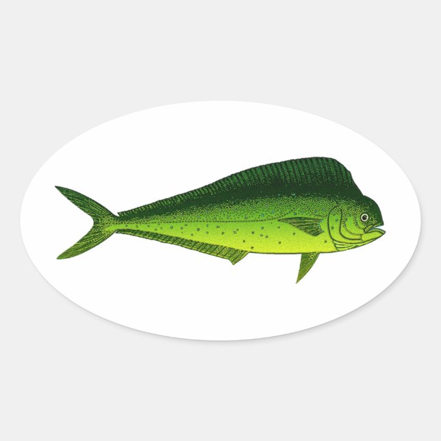 Sticker Ovale Poissons de dauphin - Dorado - Mahi Mahi (Devant)