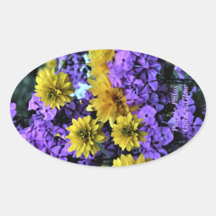 Sticker Ovale Purple Phlox Golden Glow