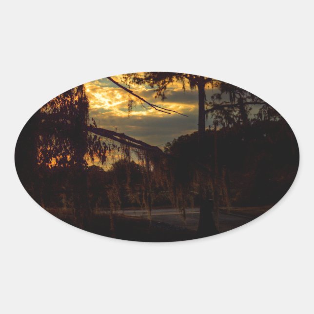 Sticker Ovale Réflexion Bayou Sunset (Devant)