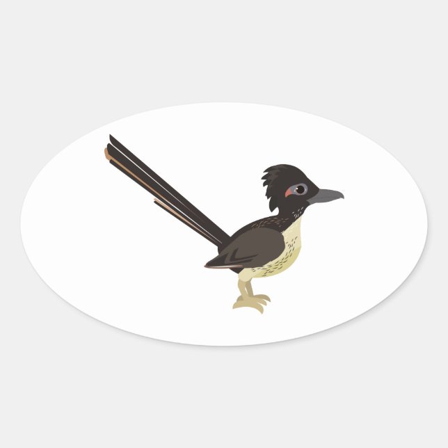 Sticker Ovale Roadrunner (Devant)