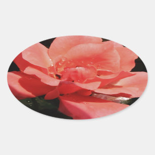 Sticker Ovale rose de pêche et détritus