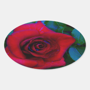 Sticker Ovale Roses rouges aux tons bleus