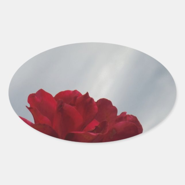Sticker Ovale Roses rouges contre un ciel bleu vif (Devant)