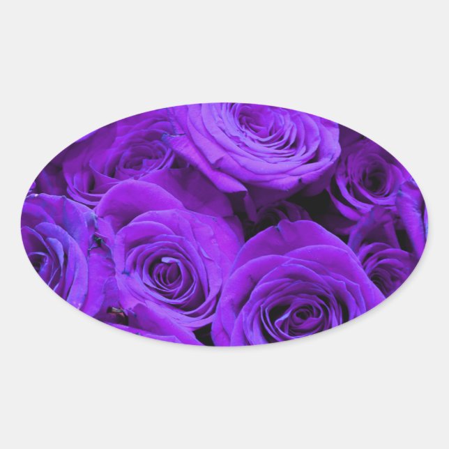 Sticker Ovale roses violet romantique, joli bouquet de rose (Devant)