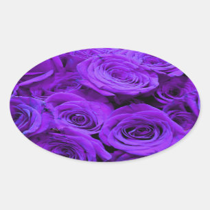Sticker Ovale roses violet romantique, joli bouquet de rose