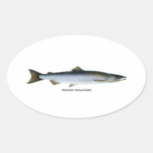 Sticker Ovale Saumon coho