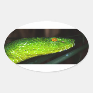 Sticker Ovale Serpent de vipère de la mine de Stejneger vert