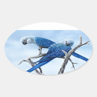 Sticker Ovale Spix macaw. Le perroquet bleu du film Rio.
