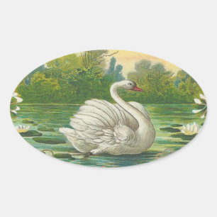 Sticker Ovale Swan