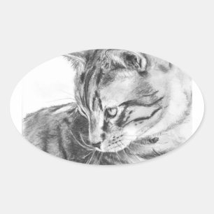 Sticker Ovale Tabby gris chat croqué au charbon de bois