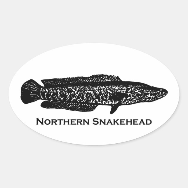 Sticker Ovale Tête du Nord (Devant)
