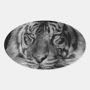Sticker Ovale Tigre noir et blanc
