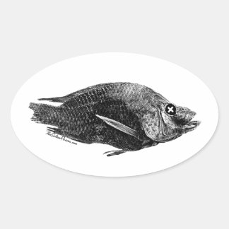 Sticker ovale Tilapia Morte de la mer de Salton