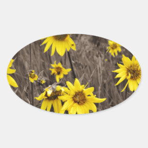 Sticker Ovale Tournesol dans la Montagne Rocheuse