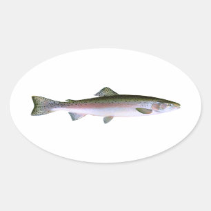 Sticker Ovale Truite arc-en-ciel