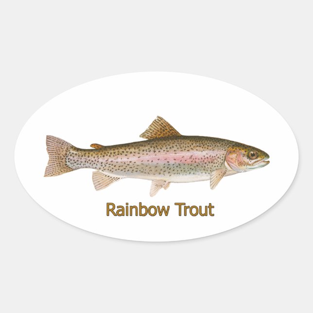 Sticker Ovale Truite arc-en-ciel (titre) (Devant)