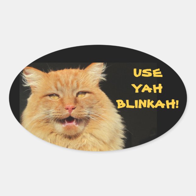 Sticker Ovale Utiliser Yah Blinkah Dit Boston Kittah (Devant)
