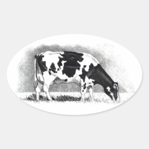 Sticker Ovale Vache Holstein : Dessin au crayon : Ferme, Pays