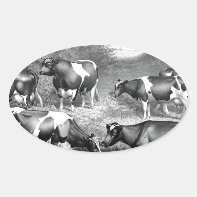 Sticker Ovale Vaches libres Holstein vaches frey (Devant)