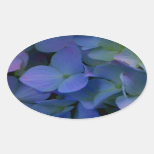 Sticker Ovale Violet violet rose bleu hydrangée fleurie