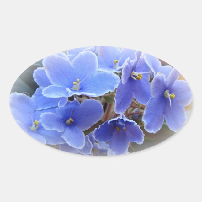 Sticker Ovale Violettes africaines bleues (Devant)