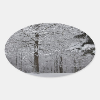 Sticker Ovale Vue Woods