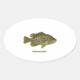 Sticker Ovale Warmouth Bass