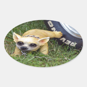 Sticker Ovale Whiz Kid