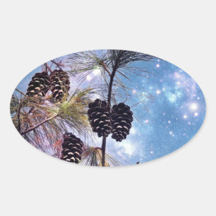 Sticker Ovale Winter Pine Cones