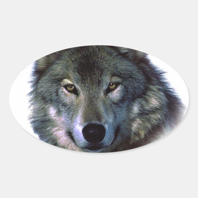 Sticker Ovale Yeux de loup gris (Devant)