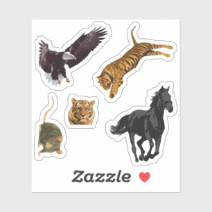 Sticker Pack Animaux Assortis