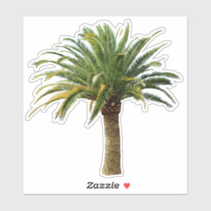 Sticker Palm Tree Date de l'île Canary