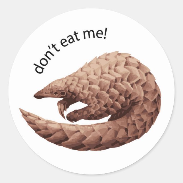 Sticker Pangolin (Devant)