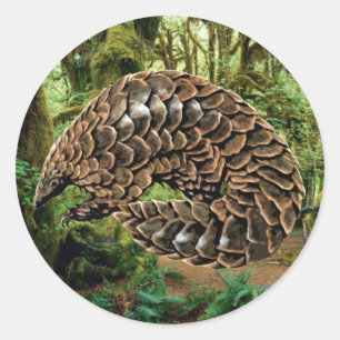 Sticker Pangolin