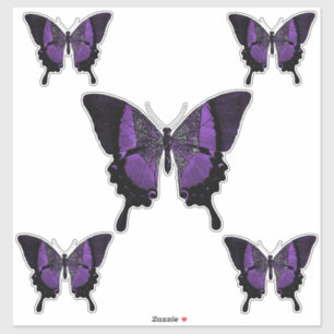 Sticker Papillon