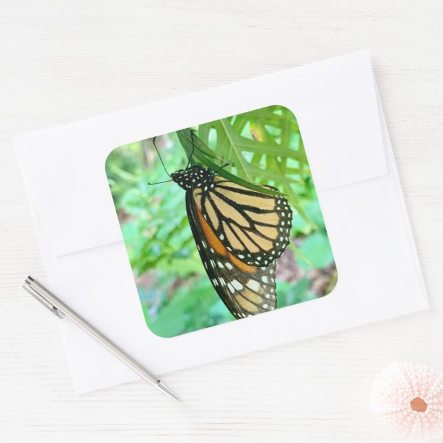 Sticker papillon (Enveloppe)