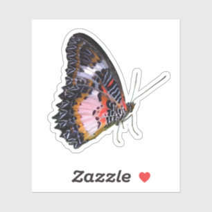 Sticker Papillon de la forêt pluviale colorée