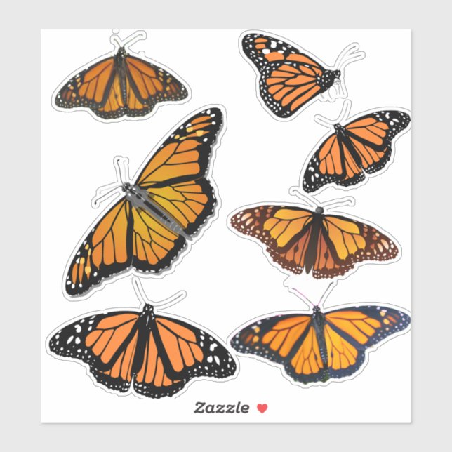 Sticker Papillon monarque (Feuille)