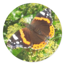 Sticker Papillon, Sticker