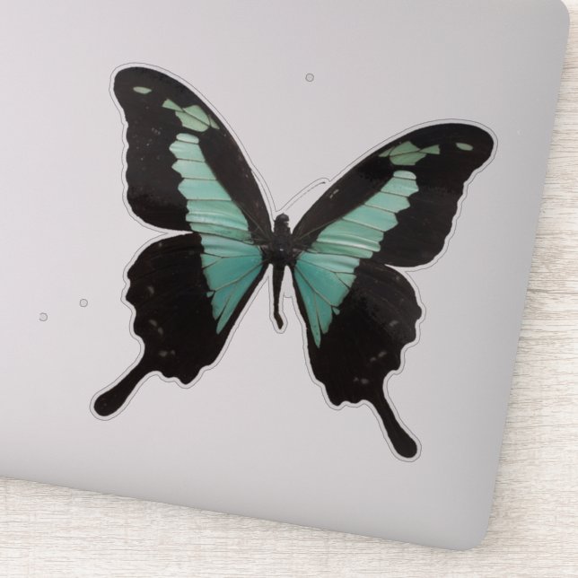 Sticker Papillon turquoise (Détail)